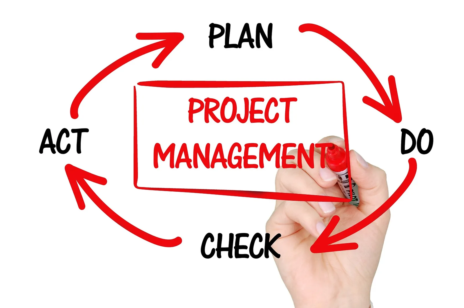 Illustration du domaine Gestion de projet